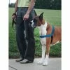 Hundegeschirr Easy Walk Blau M/L -Hundefutter Geschäft 0729849156487 S7139461 P00 600x600