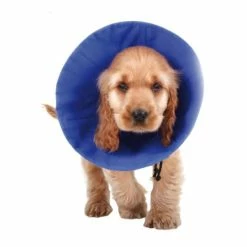 Hunde-Halskrause KVP EZ Soft Blau (30-50 Cm)