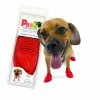Stiefel Pawz Hund 12 Stück Rot Größe S -Hundefutter Geschäft 0897515001031 S6101862 P00 WBG2 600x600