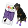 Stiefel Pawz Hund 12 Stück Lila Größe L -Hundefutter Geschäft 0897515001055 S6101864 P00 WBG2 600x600