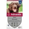 Hundepipette Advantix 25-40 Kg 6 Stück 1 Hundepipette Advantix 25-40 Kg 6 Stück -Hundefutter Geschäft 4007221020998 S7140460 P00 600x600