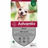 Hundepipette Advantix 1,5-4 Kg 6 Stück 1 Hundepipette Advantix 1,5-4 Kg 6 Stück -Hundefutter Geschäft 4007221021025 S7140462 P00 600x600