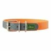 Hundehalsband Hunter Convenience Orange (33-41 Cm) -Hundefutter Geschäft 4016739631374 00 WBG2 600x600