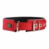 Hundehalsband Hunter Neoprene Reflect Rot (44-51 Cm) 2 Hundehalsband Hunter Neoprene Reflect Rot (44-51 Cm) -Hundefutter Geschäft 4016739641120 00 WBG2 600x600