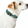 Hundehalsband Hunter Basic Thema Neongrün M (33-50 Cm) -Hundefutter Geschäft 4016739666093 00 WBG2 600x600