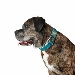 Hundehalsband Hunter Plus Thema XL (45-70 Cm)