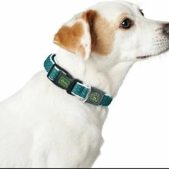 Hundehalsband Hunter Basic Thema Blau M (33-50 Cm)