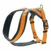 Hundegeschirr Hunter London Comfort 63-82 Cm Orange Größe M/L 2 Hundegeschirr Hunter London Comfort 63-82 Cm Orange Größe M/L -Hundefutter Geschäft 4016739680136 00 WBG3 600x600