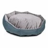Hundebett Vadigran Ares Rund Türkis 80 Cm 1 Hundebett Vadigran Ares Rund Türkis 80 Cm -Hundefutter Geschäft 5411468170597 S7139117 P0 WBG2 600x600