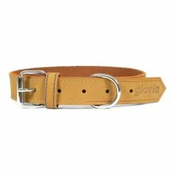 Hundehalsband Gloria Oasis Gelb (65 Cm) (65 X 3 Cm)