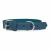 Hundehalsband Gloria Oasis Blau (70 Cm) (70 X 3 Cm) -Hundefutter Geschäft 8432288074817 00 WBG2 600x600