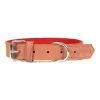 Hundehalsband Gloria Oasis Rot (70 Cm) (70 X 3 Cm) -Hundefutter Geschäft 8432288074855 00 WBG2 600x600