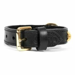 Hundehalsband Gloria Duna Schwarz Gold (50 Cm) (50 X 2,5 Cm)