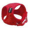 Hundegeschirr Gloria Punkte 17-22 Cm Rot XS -Hundefutter Geschäft 8432288106433 00 WBG1 600x600