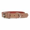 Hundehalsband Gloria Oasis Braun (65 Cm) (65 X 3 Cm) -Hundefutter Geschäft 8432288107829 00 WBG2 600x600