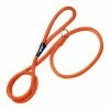 Hundeleine Gloria Orange (1.5 X 140 Cm) -Hundefutter Geschäft 8432288122860 S6100776 P0 WBG3 600x600