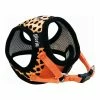 Hundegeschirr Gloria Leopard 21-29 Cm Orange S -Hundefutter Geschäft 8432288210451 00 WBG2 600x600