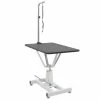 VIDAXL Hydraulischer Trimmtisch Fürs Badezimmer Für Haustiere -Hundefutter Geschäft 8718475874881 a en hd 1 600x600