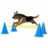 VIDAXL Agility Hundetraining Hindernis-Set Blau Und Gelb -Hundefutter Geschäft 8720286365212 m en hd 1 600x600