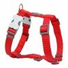 Hundegeschirr Red Dingo Weich 46-76 Cm Rot 2 Hundegeschirr Red Dingo Weich 46-76 Cm Rot -Hundefutter Geschäft 9330725009172 00 WBG2 600x600