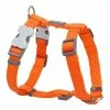 Hundegeschirr Red Dingo Weich 46-76 Cm Orange -Hundefutter Geschäft 9330725009226 00 WBG2 600x600