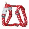 Hundegeschirr Red Dingo Style Rojo/Blanco Punkte 25-39 Cm -Hundefutter Geschäft 9330725034501 00 WBG2 600x600