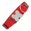 Hundehalsband Red Dingo Breite Rot (37-55 Cm) -Hundefutter Geschäft 9330725042018 00 WBG3 600x600