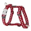 Hundegeschirr Red Dingo Style Rot Stern 25-39 Cm -Hundefutter Geschäft 9330725046504 00 WBG2 600x600