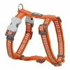 Hundegeschirr Red Dingo Knochen Reflektierend 30-48 Cm Orange -Hundefutter Geschäft 9330725052840 00 WBG2 600x600