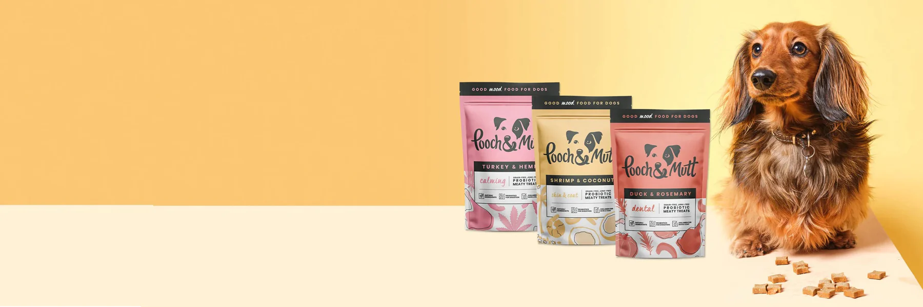 Hundefutter Geschäft -Hundefutter Geschäft