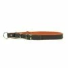 Hunter Dressurhalsung Flach - M - 55 Cm 2 Hunter Dressurhalsung Flach - M - 55 Cm -Hundefutter Geschäft Hunter Dressurhalsung Flach M 55 cm Z 19030 HUN 600x600