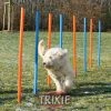 Trixie Agility Slalom 2 Trixie Agility Slalom -Hundefutter Geschäft Trixie Agility Slalom Z 3206 TRXI 600x600
