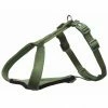 Trixie Premium Y-Geschirr - Waldgrün - 85-105 Cm/25 Mm 1 Trixie Premium Y-Geschirr - Waldgrün - 85-105 Cm/25 Mm -Hundefutter Geschäft Trixie Premium Y Geschirr waldgruen 85 105 cm 25 mm Z 1998819 TRXI 600x600