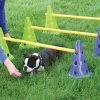 FitPAWS Hunde-Agility-Set Canine Gym -Hundefutter Geschäft VXL0812374011502 m en hd 1 600x600