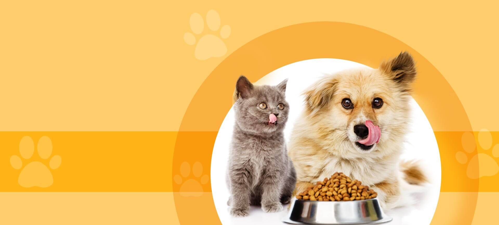 Hundefutter Geschäft -Hundefutter Geschäft banner2 Pet food