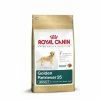 ROYAL CANIN RASSE Royal Canin Golden Retriever Adult - 3 Kg -Hundefutter Geschäft z1 3182550743433 600x600